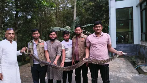 মিরসরাইয়ে একদিনে পৃথক স্থান থেকে দুটি অজগর উদ্ধার