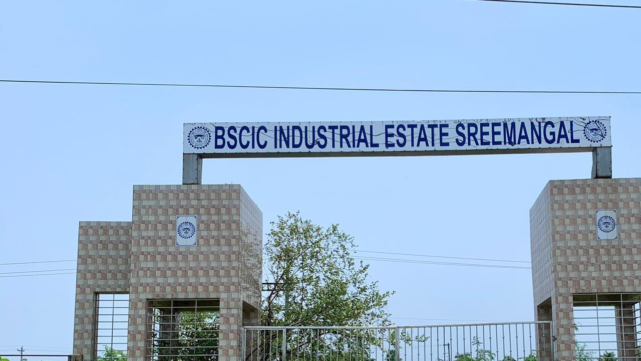 নামেই শিল্পনগরী, ভেতরে আগাছার রাজত্ব