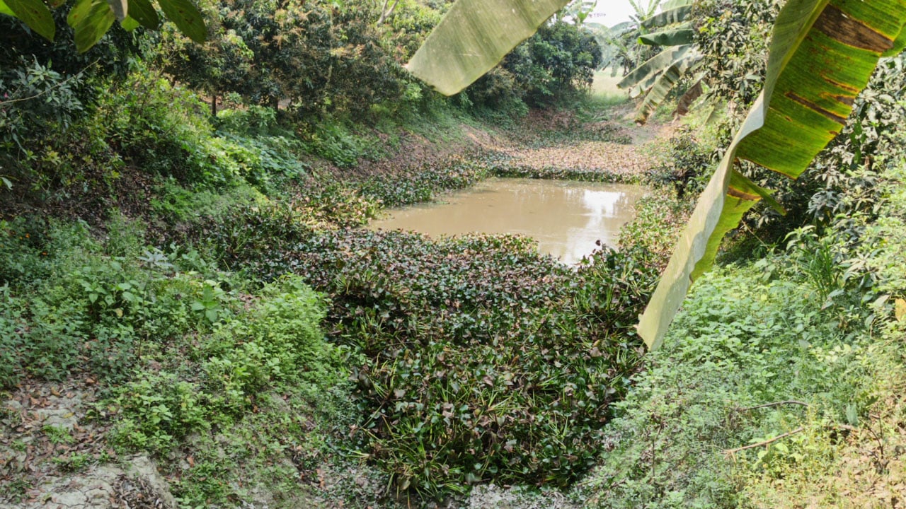 নিখোঁজের ৩ মাস পর যুবকের গলিত মরদেহ উদ্ধার