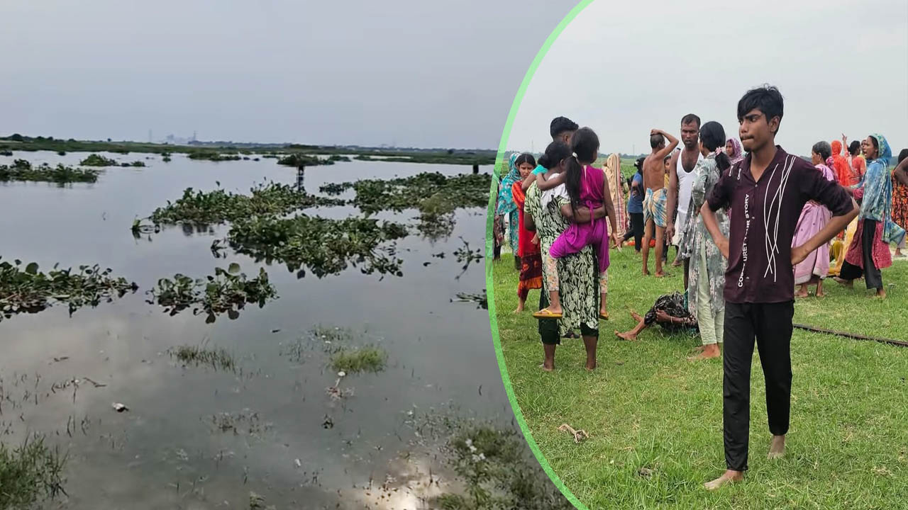 জোয়ারের পানির স্রোতে ভেসে গেল শতাধিক গরু