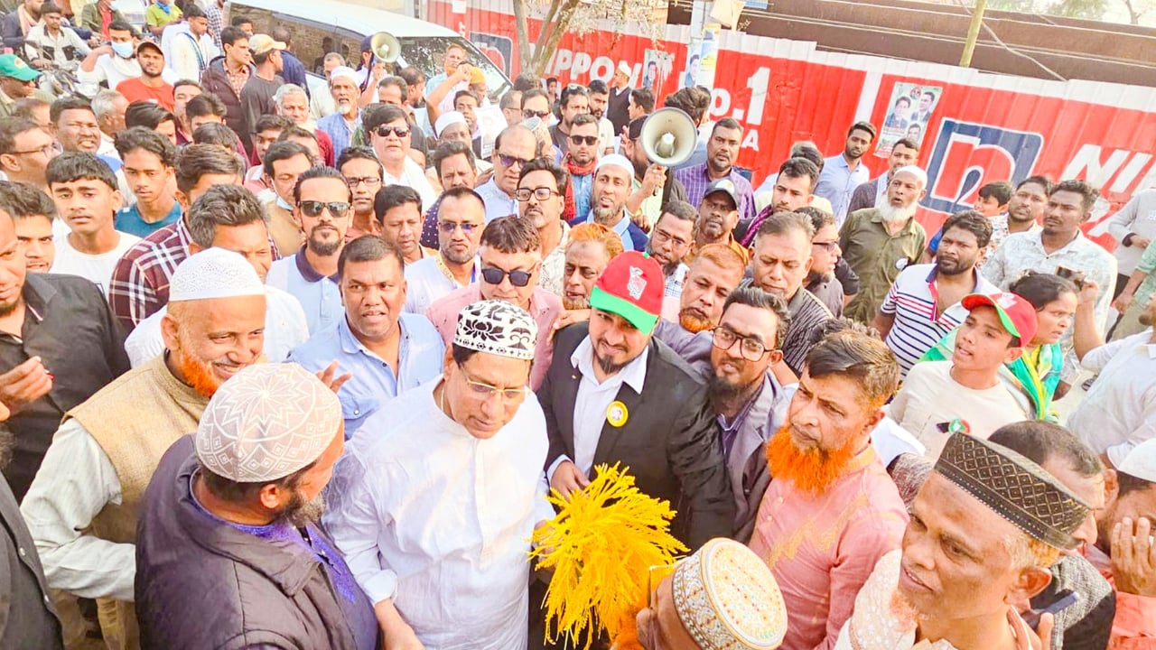 এবারের ভোট হবে দেশে গণতন্ত্রের রক্ষাকবচ: বিএনপি প্রার্থী নবী