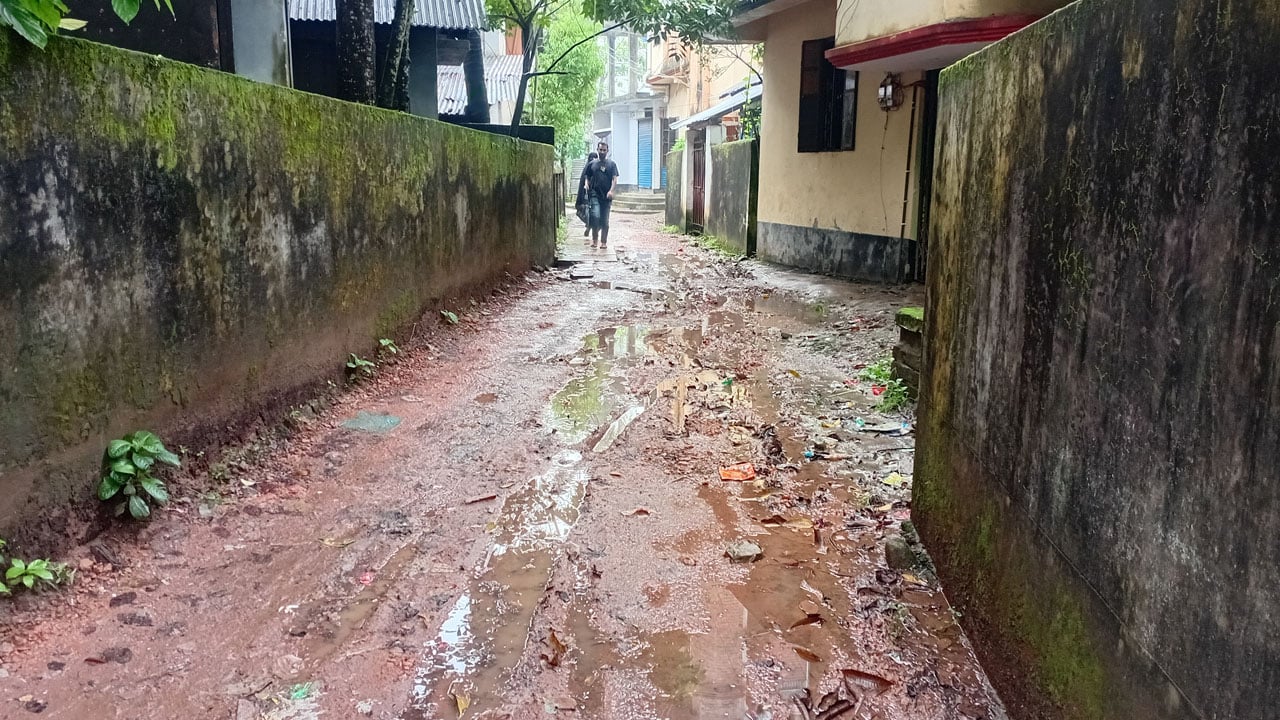 দুই দশক ধরে সংস্কারহীন নলছিটির সবুজবাগ সড়ক, দুর্ভোগে শত শত মানুষ