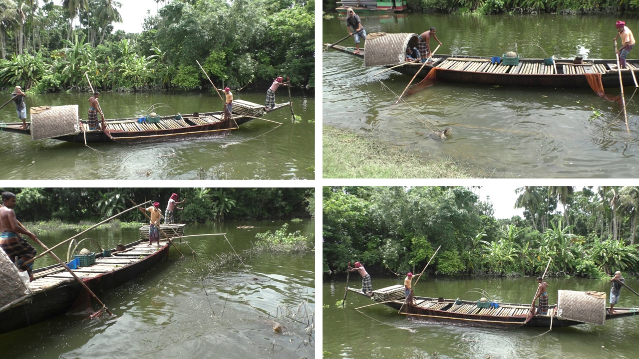 ভোঁদড়ে চলে না পেট, তবু আঁকড়ে বাপ-দাদার পেশা
