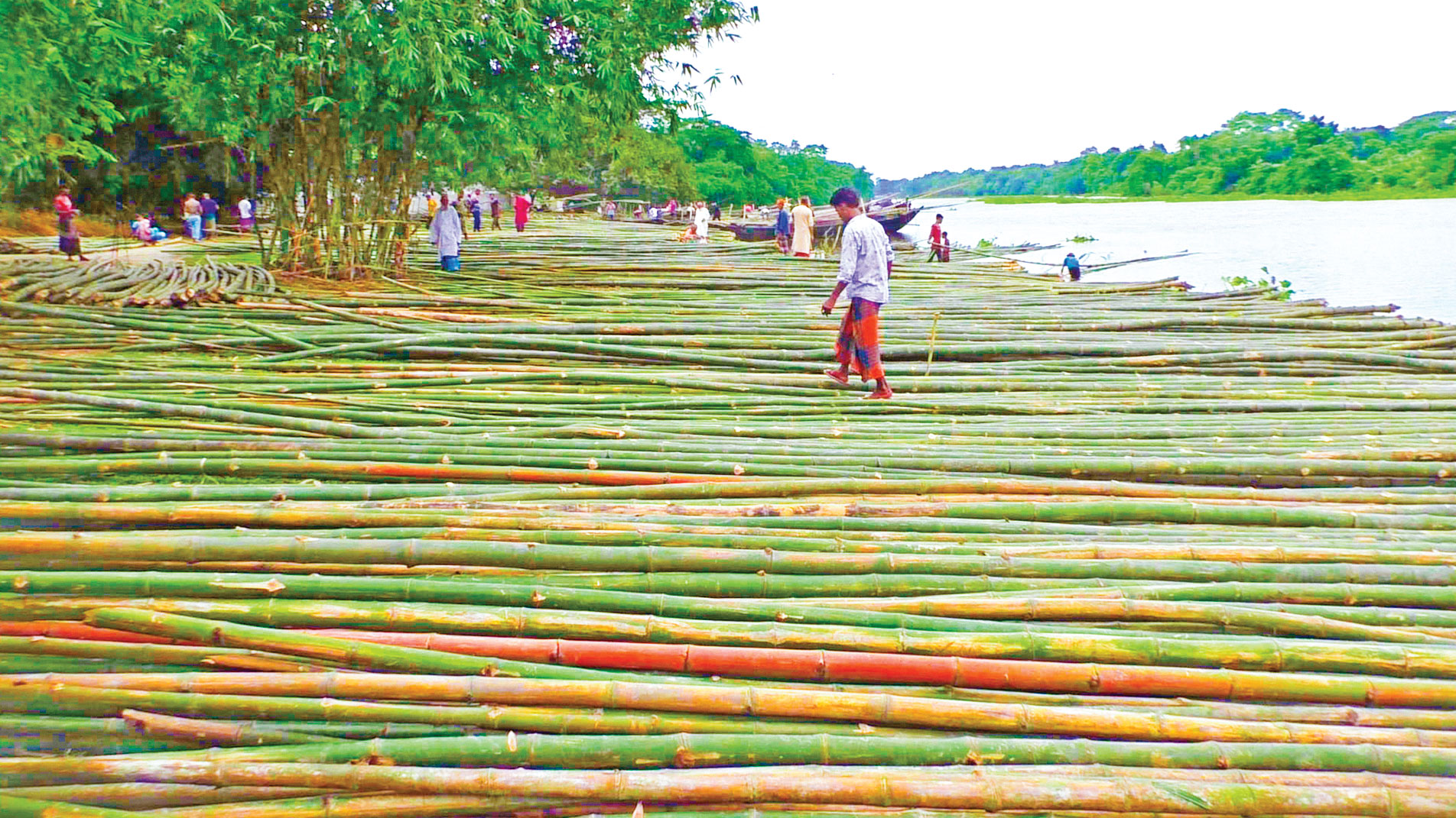 চোখজুড়ানো বাঁশের হাট