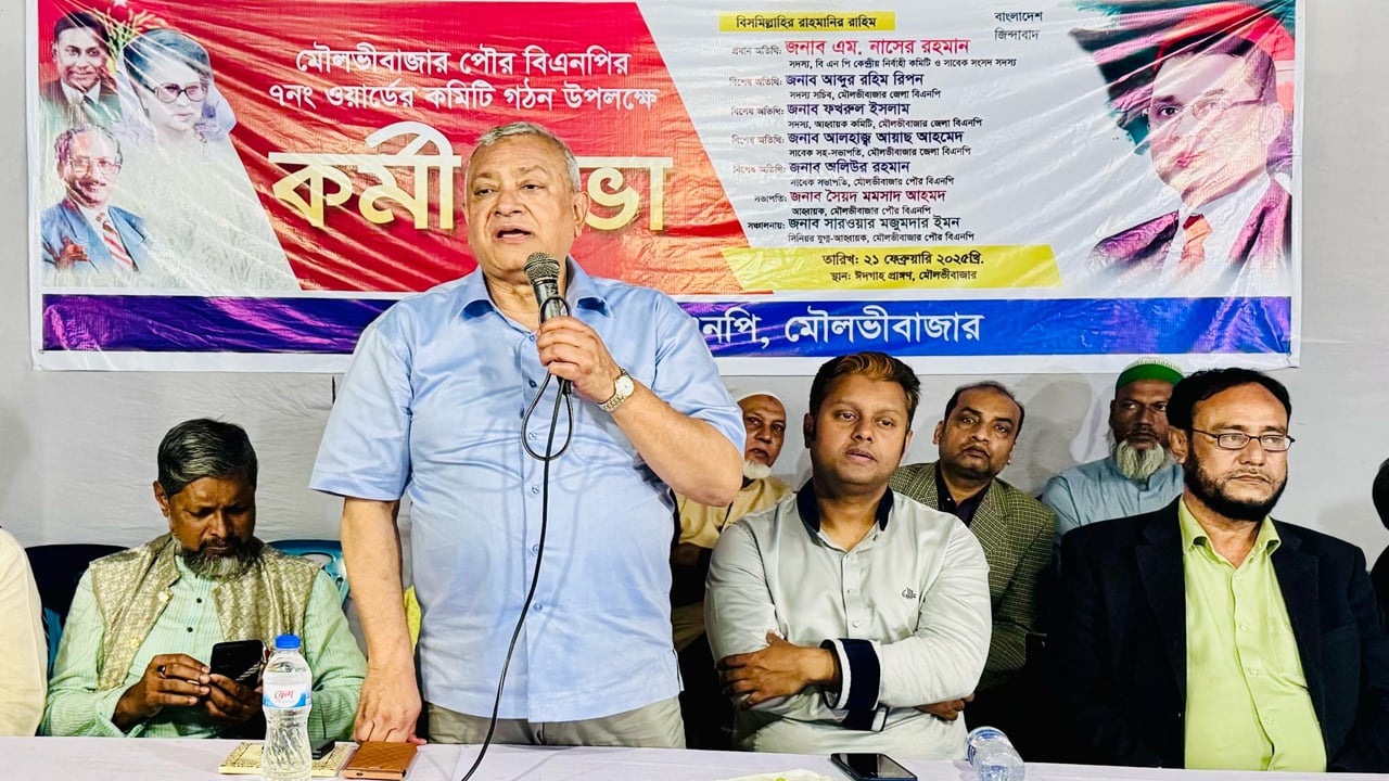 বিএনপিকে চ্যালেঞ্জ করার মতো কেউ নেই: নাসের রহমান