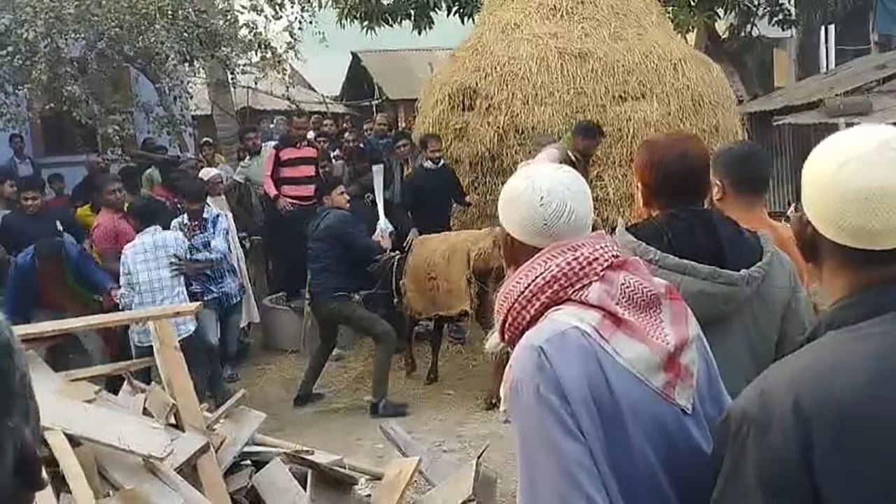 নওগাঁয় বিএনপি-জামায়াতের সংঘর্ষে আহত ১০