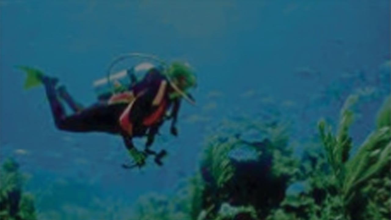 সমুদ্রবিজ্ঞান গবেষণার ঘাটতি : মৎস্য উন্নয়নের বাধা