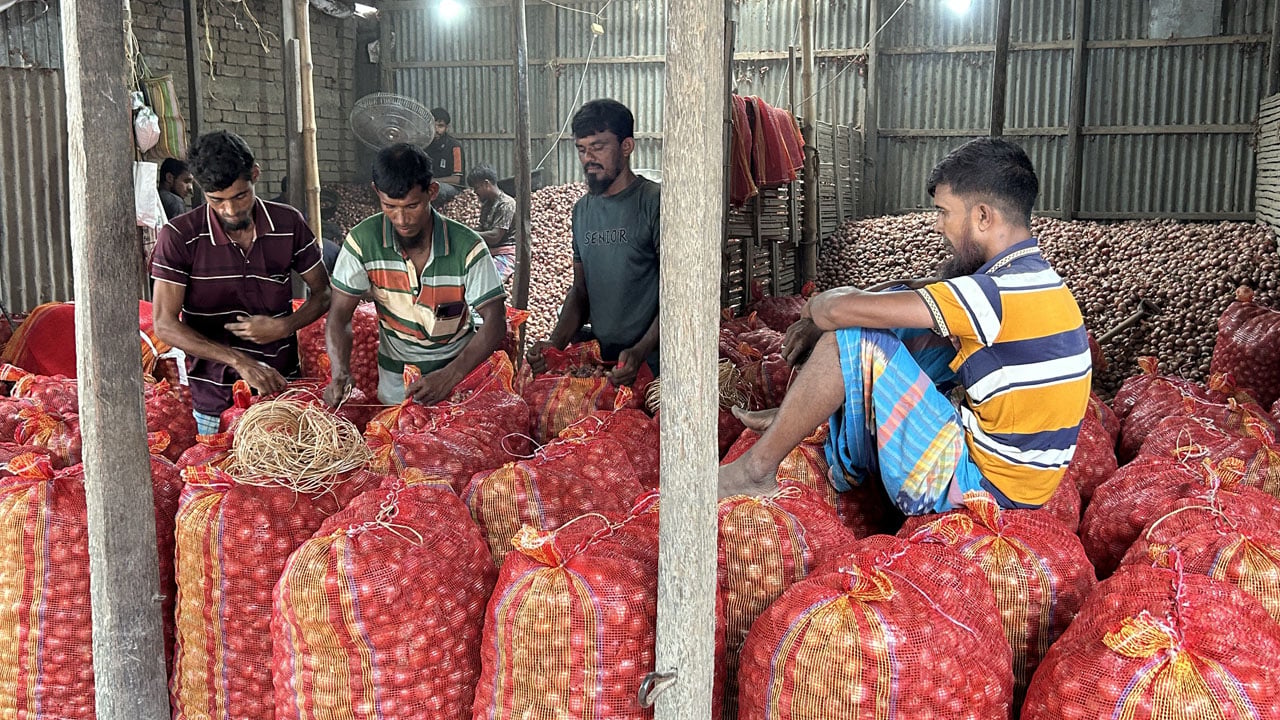 মাচার পেঁয়াজ পচে, বাজারে নেই দাম, সালথায় পেঁয়াজচাষিদের নীরব কান্না 