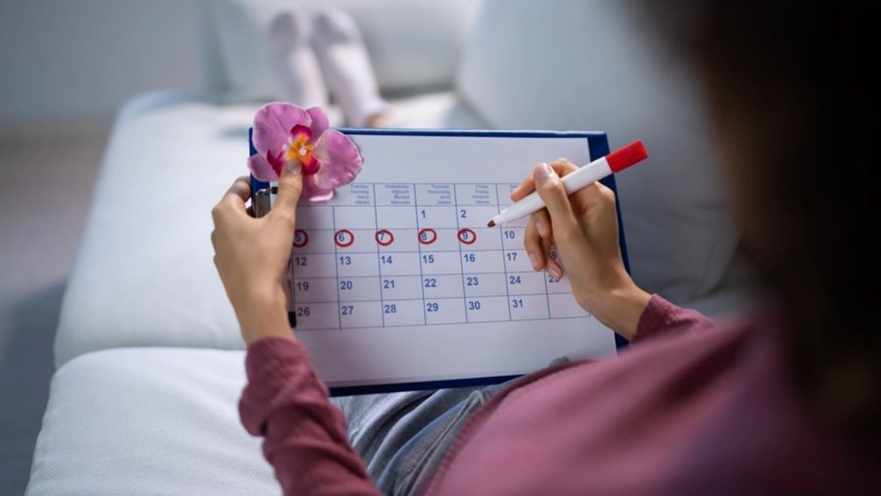 মাসিকের ছন্দেই লুকিয়ে থাকে গর্ভধারণের হিসাব
