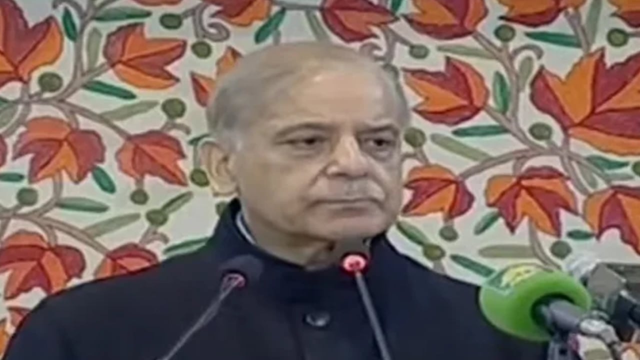 পাকিস্তানের বিরুদ্ধে ‘প্রক্সি সন্ত্রাসবাদ’ চালাচ্ছে ভারত: শেহবাজ