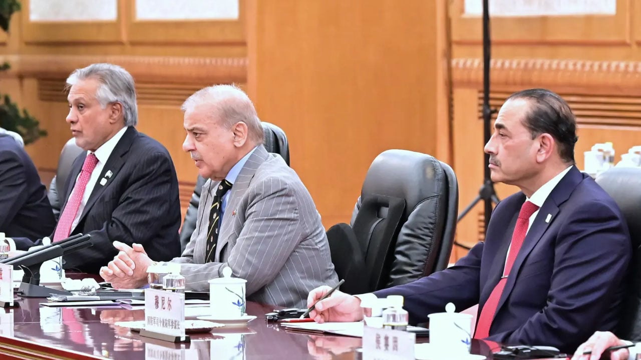 চীনা প্রেসিডেন্টের সঙ্গে পাকিস্তানি প্রধানমন্ত্রীর বৈঠক