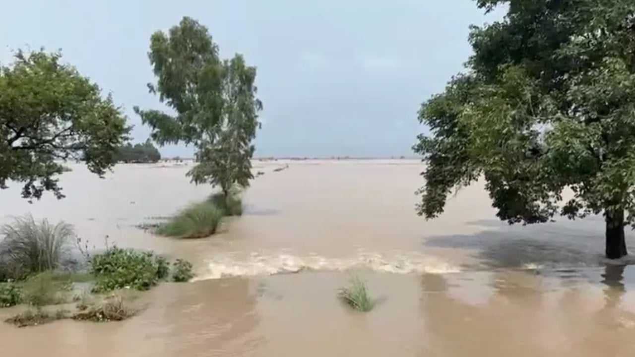 পাকিস্তানে বন্যা প্লাবিত ৪০০ বর্গকিলোমিটার এলাকা, নিহত ৭