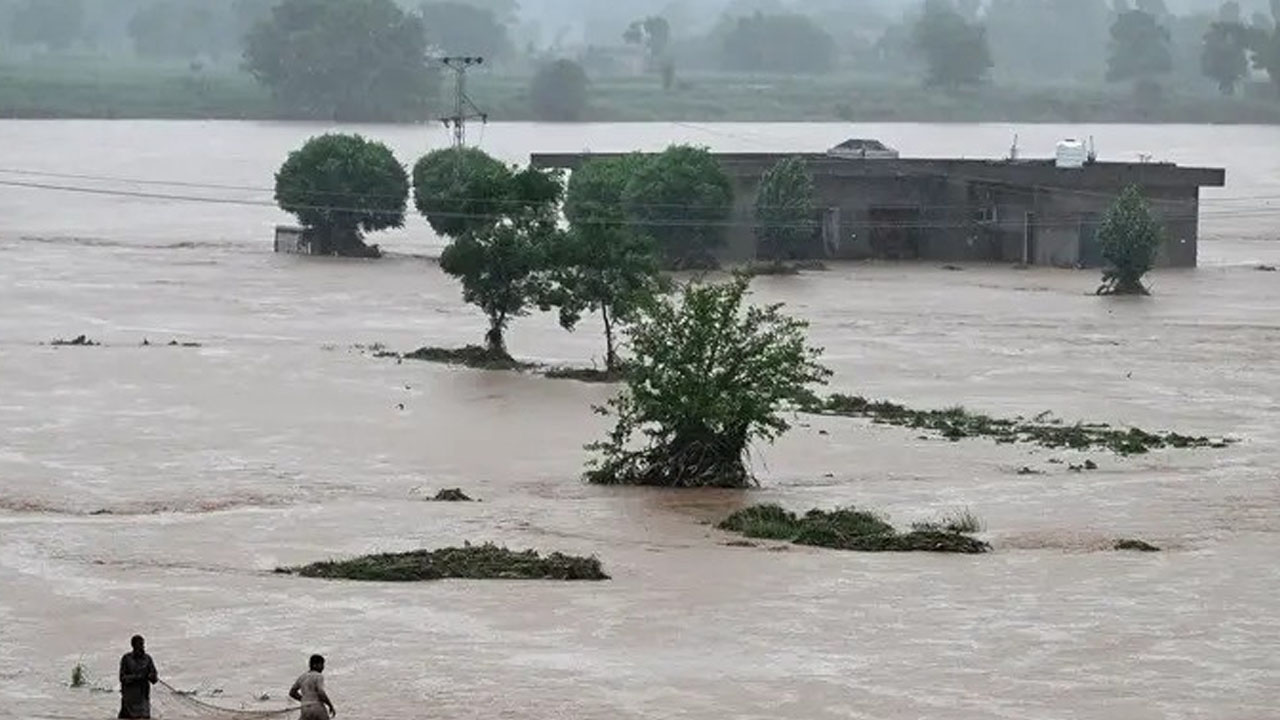 পাকিস্তানে বন্যায় ২০০ ছাড়িয়েছে মৃতের সংখ্যা