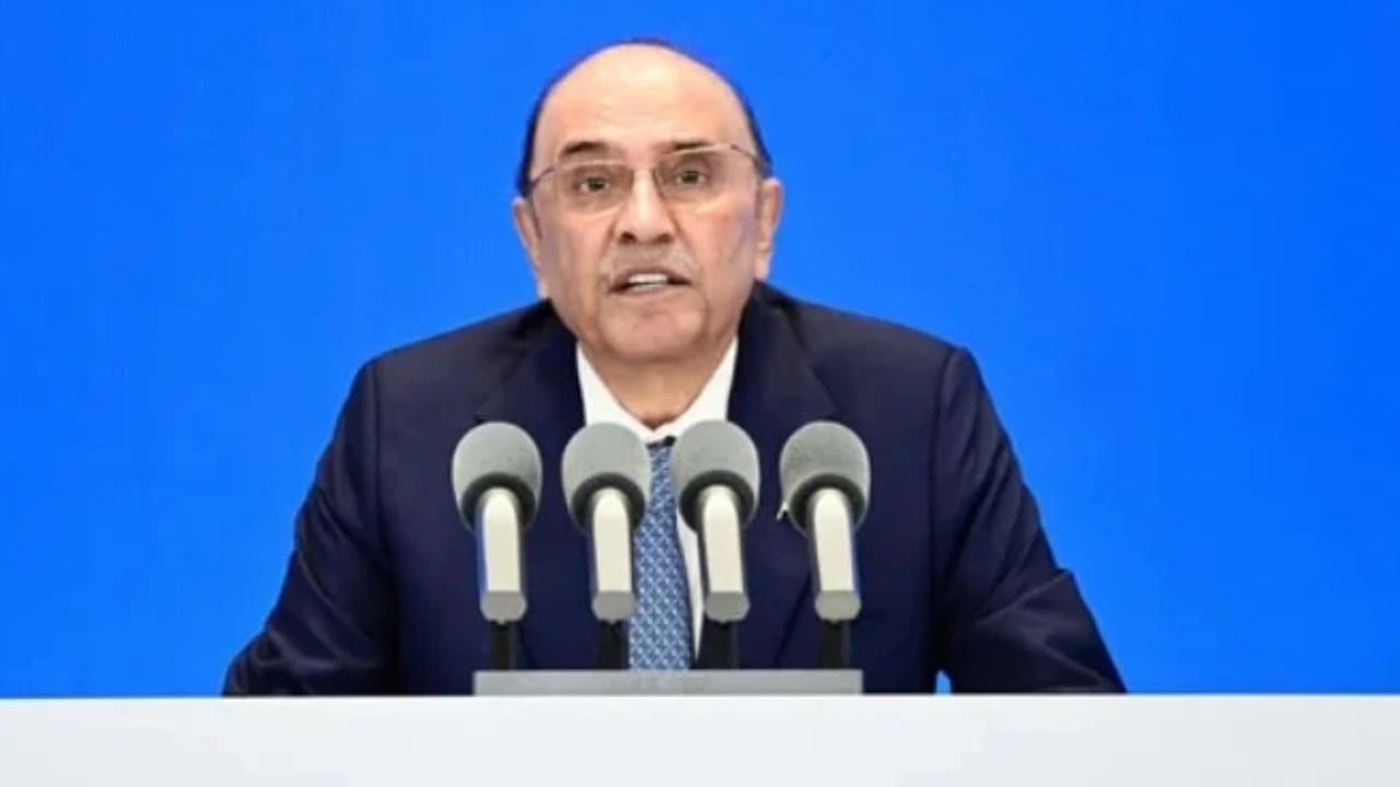 পাকিস্তানের বিরুদ্ধে সন্ত্রাসবাদ চালাচ্ছে প্রতিবেশী কয়েকটি দেশ: জারদারি