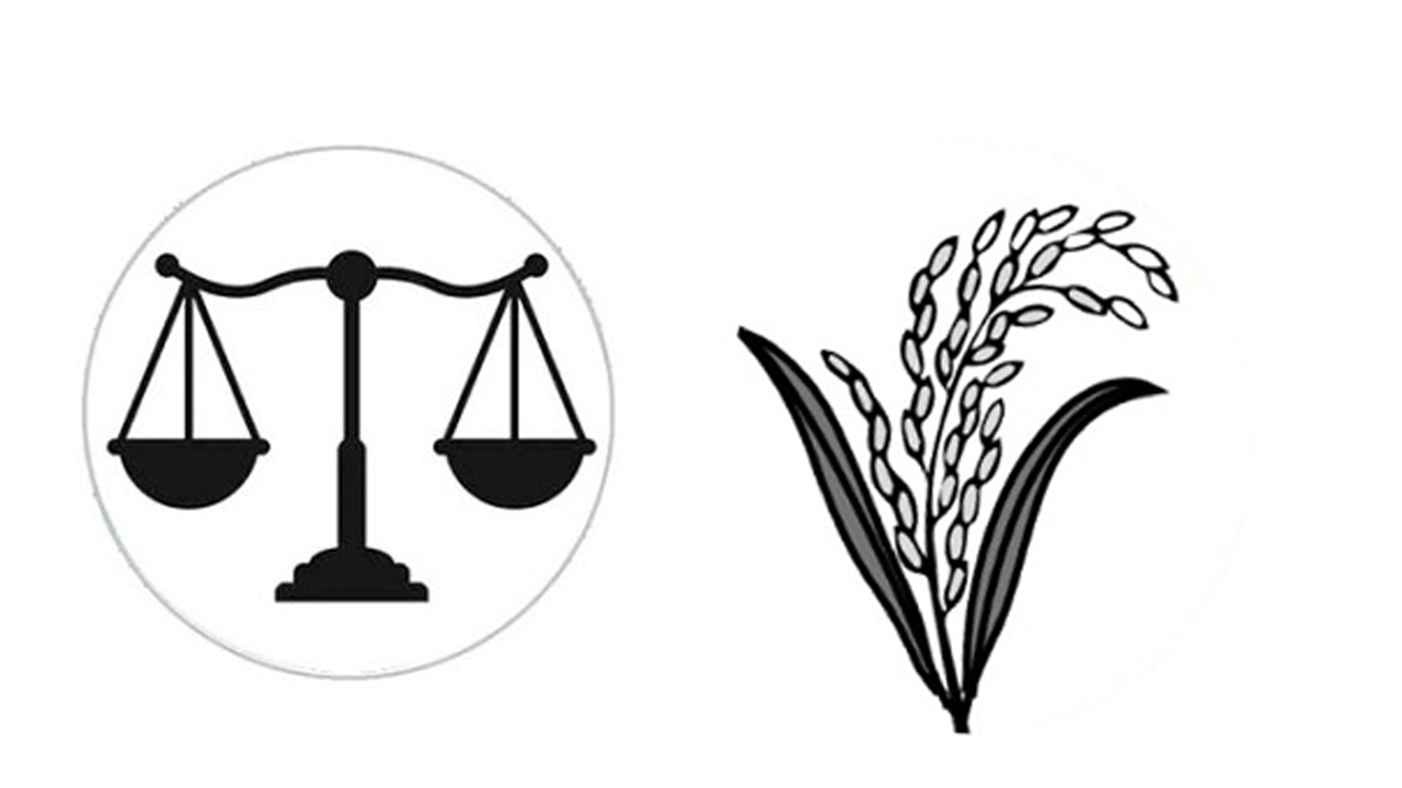 বাগেরহাটে চারটি আসনে তিনটিতে এগিয়ে জামায়াত, একটিতে বিএনপি