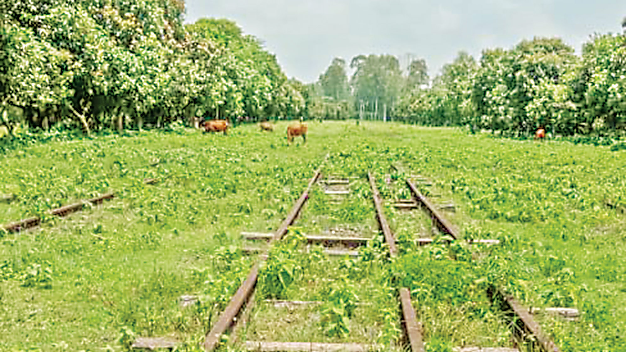১৩ বছর ধরে খনির পাথর পরিবহন বন্ধ