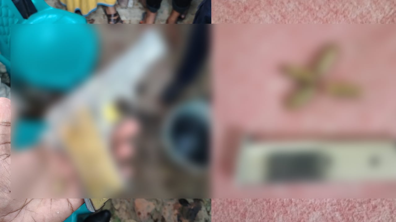 গণপিটুনিতে দুই ছিনতাইকারী আহত, পিস্তল ও গুলি উদ্ধার