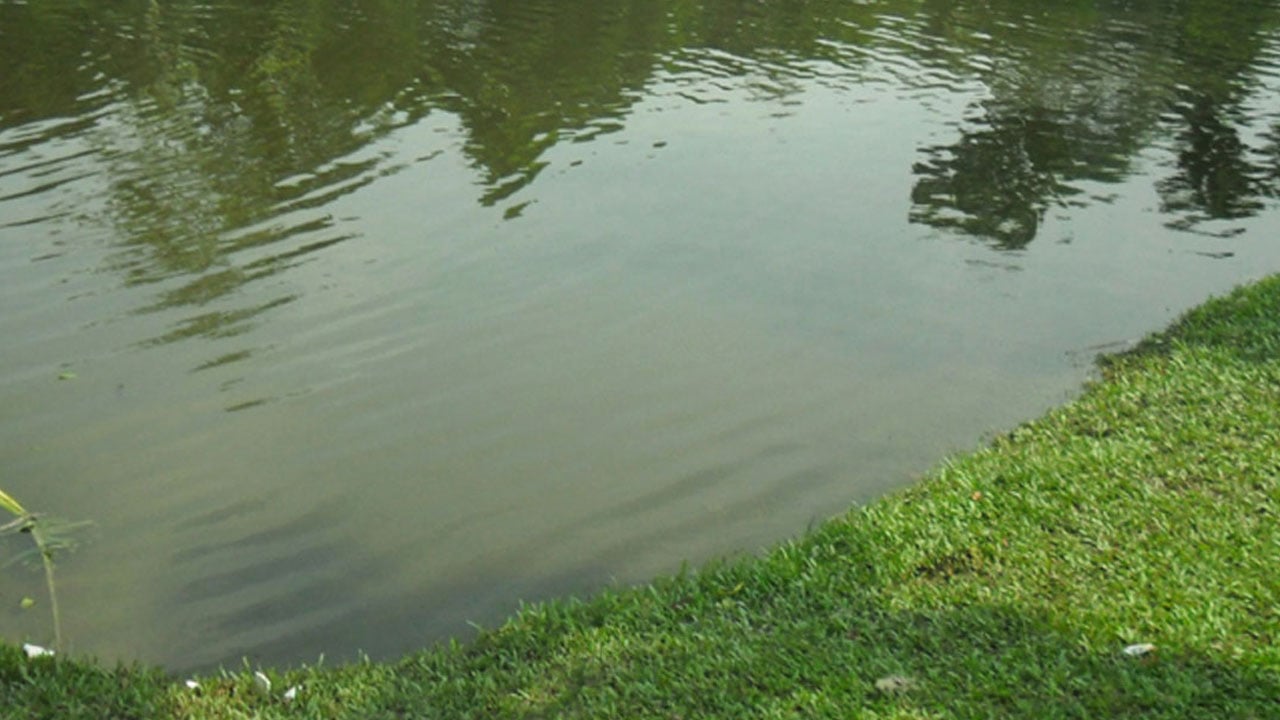 উঠানে খেলছিল ইশরাক, ভেসে উঠল পুকুরে