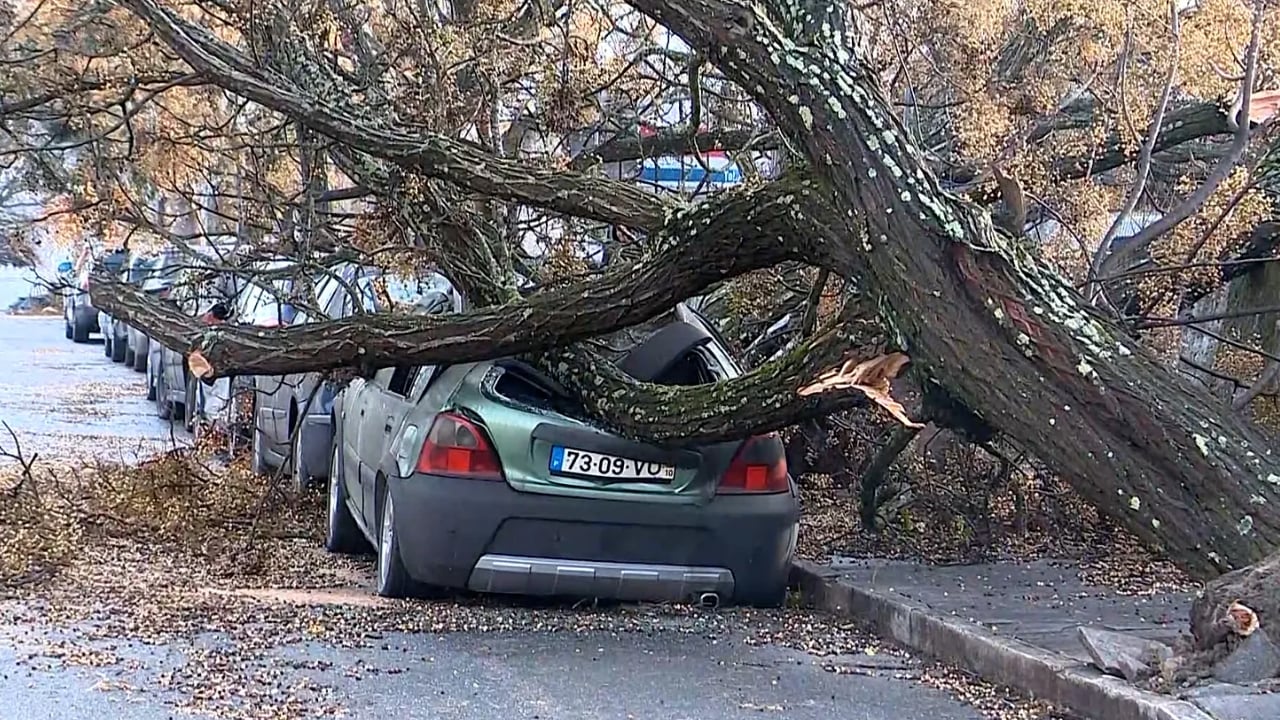 পর্তুগালে ঝড়ের তাণ্ডবে নিহত ৫, বিদ্যুৎহীন ৮ লাখ মানুষ