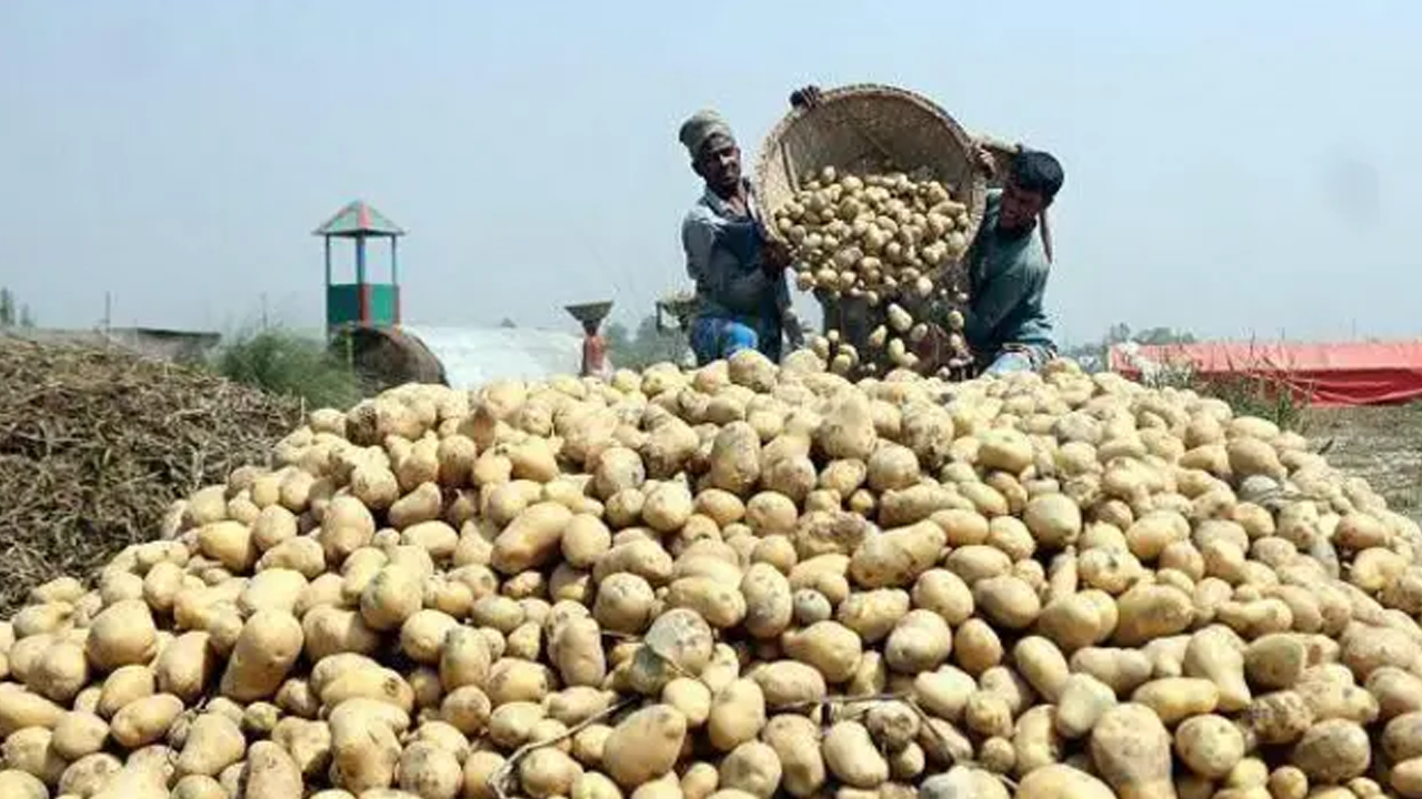 ভিয়েতনামে আলু রপ্তানির অনুমতি পেল বাংলাদেশ