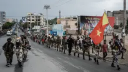 শান্তিচুক্তির পরও থামেনি টাইগ্রের লড়াই, পুরোনো শত্রুদের নতুন জোট