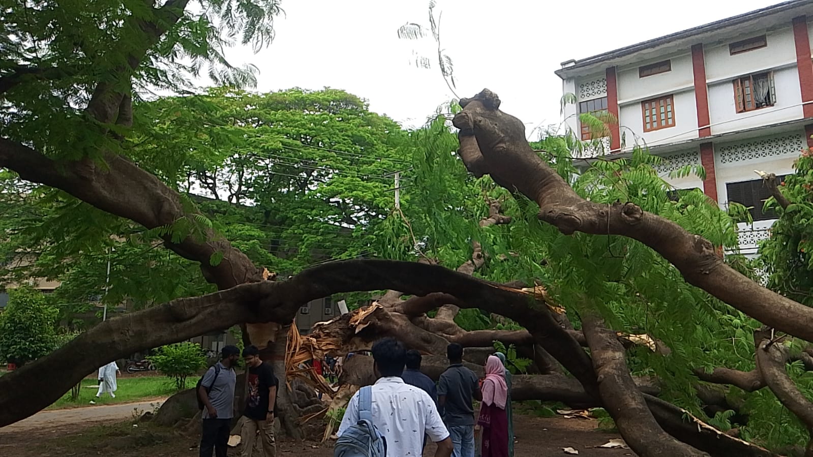 এ যেন ক্যাম্পাসের অগণন, স্মৃতির অধ্যায়ের সমাপ্তি