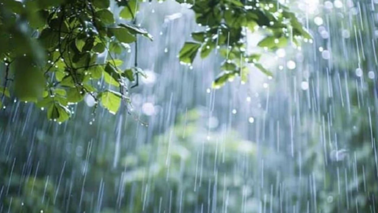 দেশের বিভিন্ন স্থানে বৃষ্টির সম্ভাবনা 