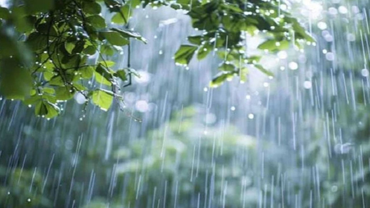 বঙ্গোপসাগরে লঘুচাপ, দেশজুড়ে ভারী বর্ষণ নিয়ে যা বলল আবহাওয়া অফিস