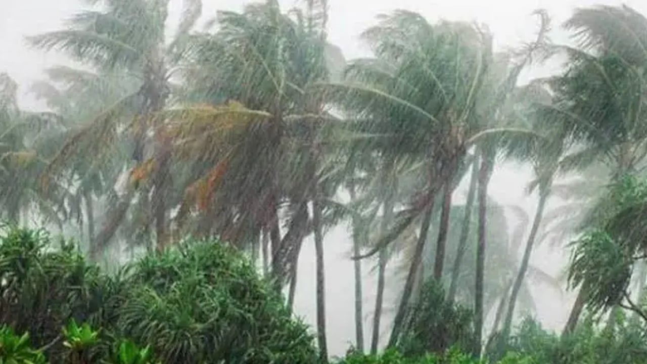 পহেলা বৈশাখে দেশের ৩ অঞ্চলে ঝোড়ো হাওয়াসহ বৃষ্টির সম্ভাবনা