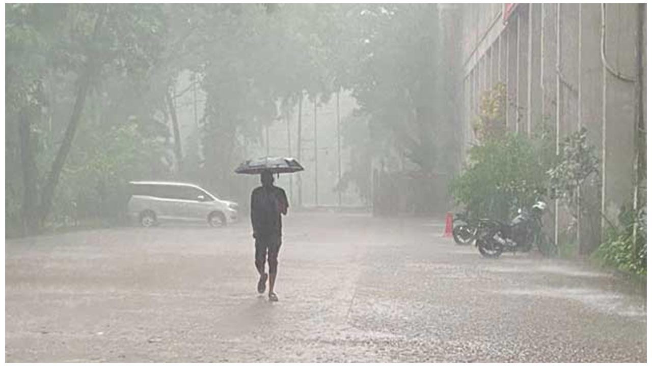 কবে থেকে বৃষ্টি বাড়তে পারে, জানালো আবহাওয়া অফিস