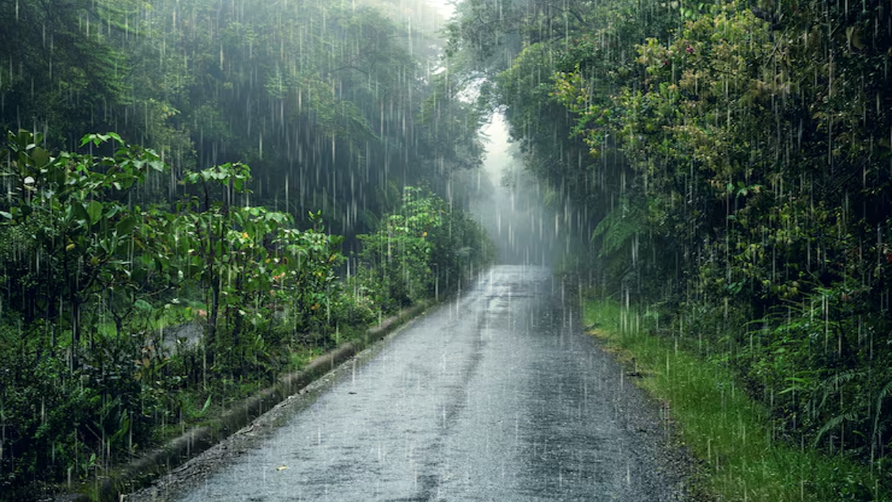 মৌসুমি বায়ুর প্রভাবে ঢাকাসহ বিভিন্ন অঞ্চলে বৃষ্টি