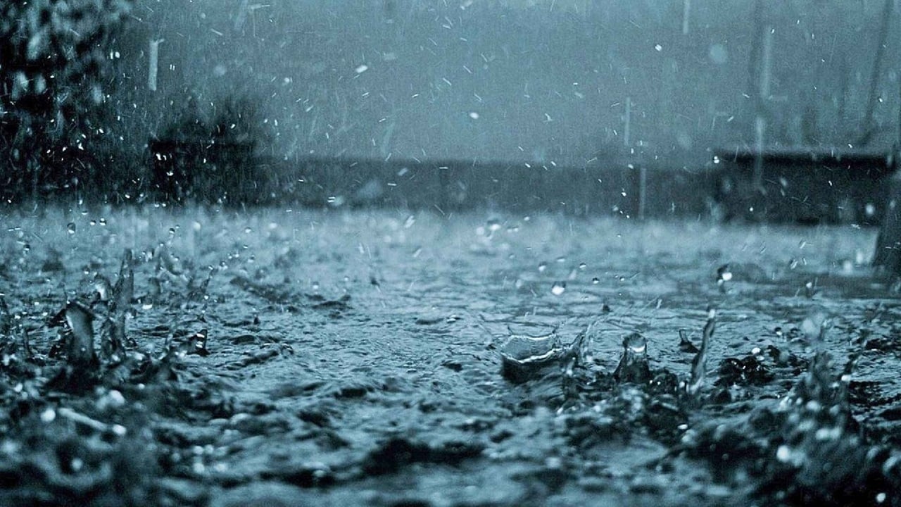 সক্রিয় মৌসুমি বায়ুর প্রভাবে দেশজুড়ে বৃষ্টির পূর্বাভাস