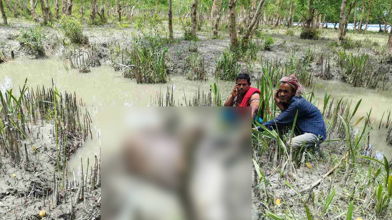 রাঙ্গাবালীর বনায়নে খালে বাঁধ, বিষ প্রয়োগে মাছ শিকার