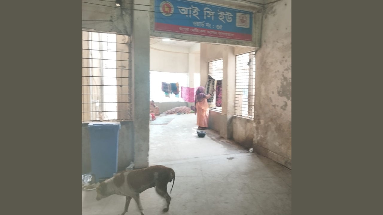 রমেক আইসিইউতে কুকুরের অবাধ বিচরণ, রোগী নিরাপত্তা নিয়ে উদ্বেগ