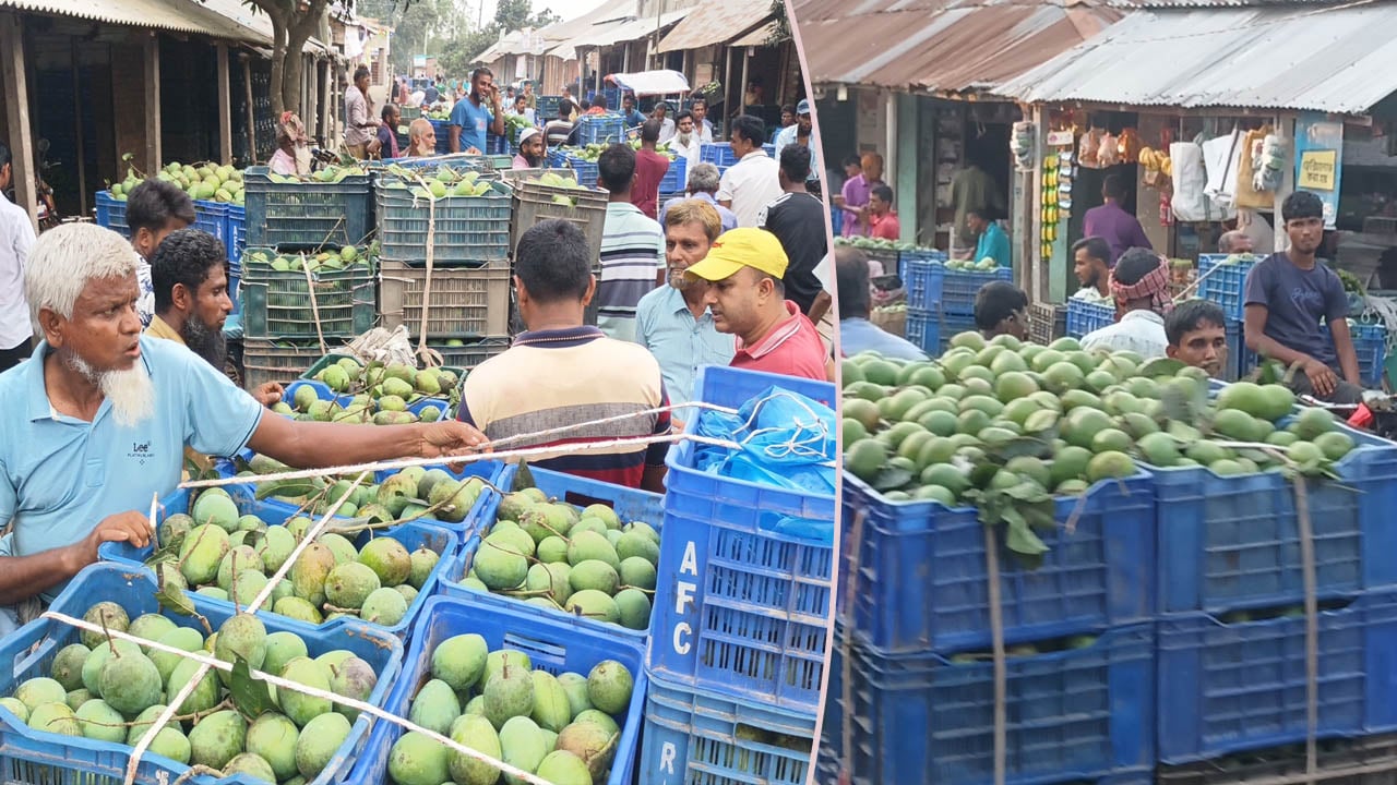 আনুষ্ঠানিকভাবে বাজারে এলো হাঁড়িভাঙ্গা আম
