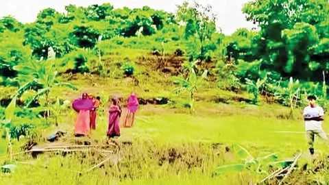 রাঙ্গুনিয়ায় খামারবাড়িতে চাঁদা দাবির অভিযোগ
