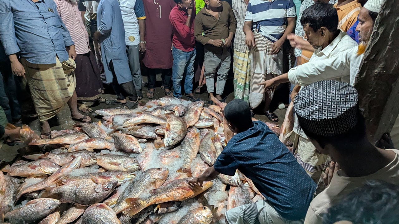 সেন্টমার্টিনে ধরা পড়ল ১০০০ কোরাল মাছ, ৩৫ লাখে বিক্রি