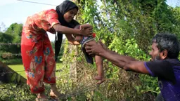 আইসিজেতে রোহিঙ্গা মামলা: গণহত্যার নতুন দৃষ্টান্তের অপেক্ষা