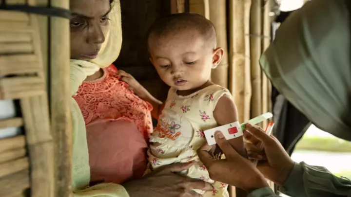 দেশে বছরে ৩০ হাজারের বেশি রোহিঙ্গা শিশুর জন্ম
