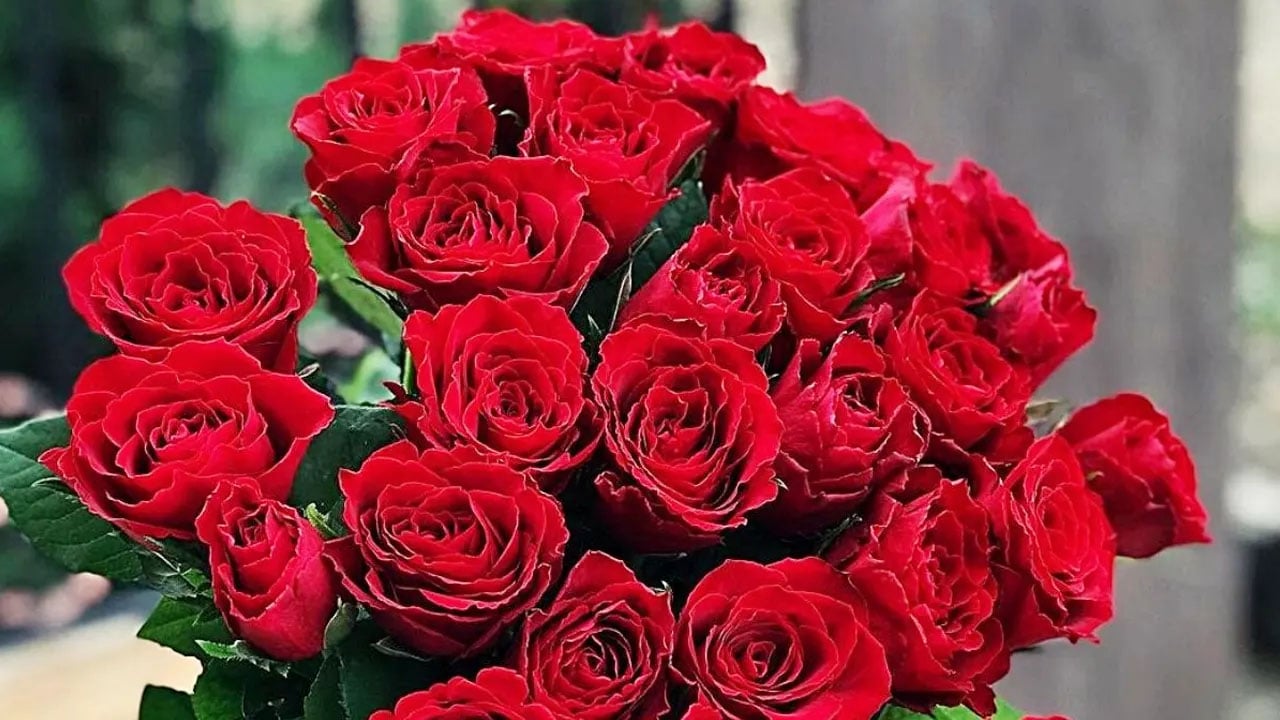 খৃস্টের সম্মান