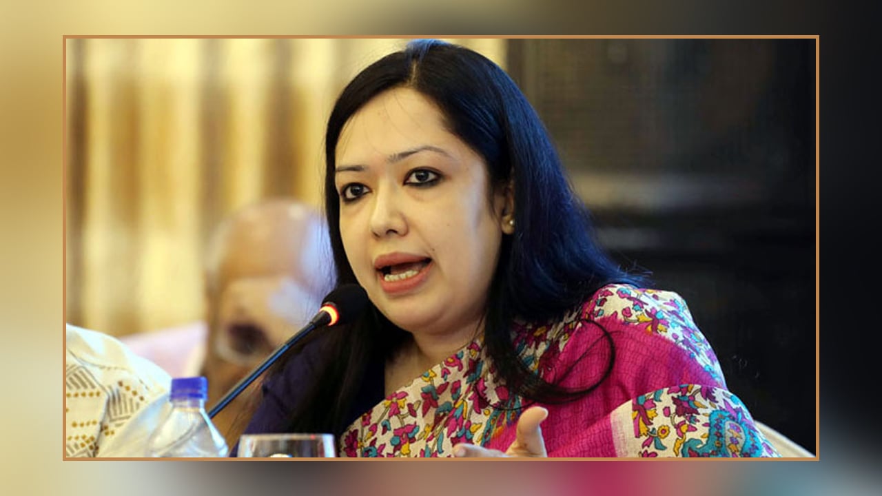 ভারতীয় মিডিয়ায় কী বলেছিলেন ব্যারিস্টার রুমিন, কেন এতো সমালোচনা?