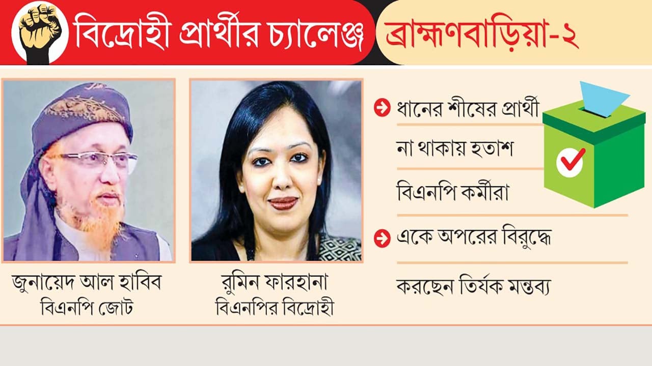 জুনায়েদের খেজুরগাছ নাড়া দিতে প্রস্তুত রুমিনের হাঁস