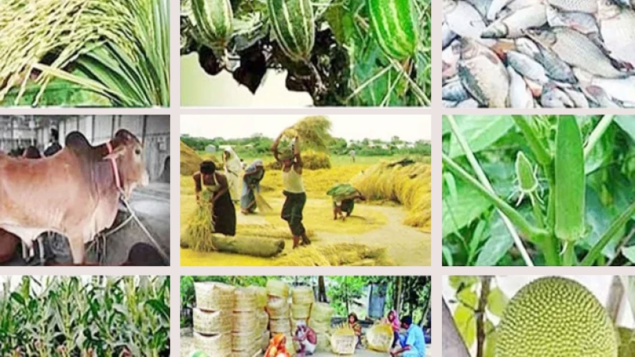 গ্রামীণ অর্থনীতির পুনর্গঠন : কর্মসংস্থানের নতুন দিগন্ত