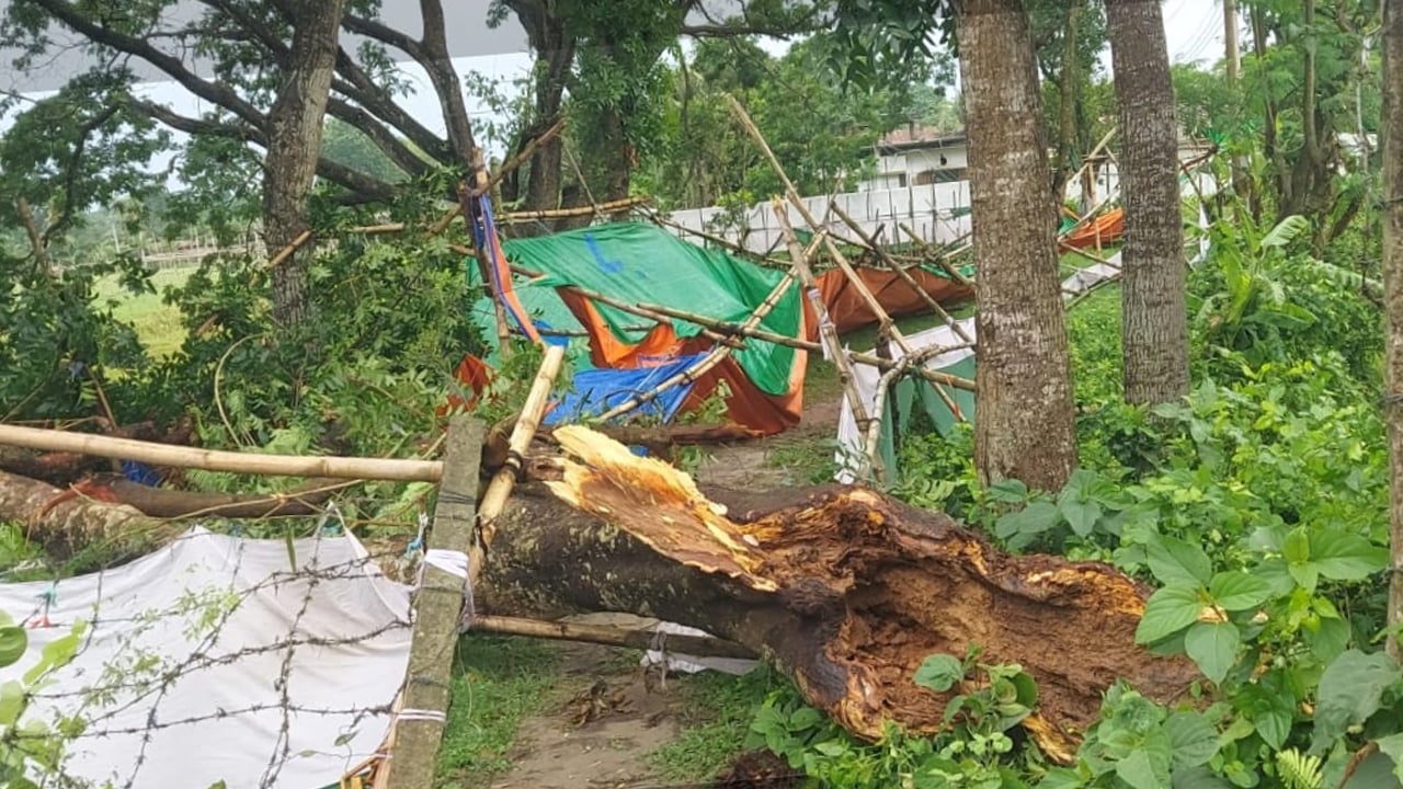 সদরপুরে ঝড়ে গাছের ডাল ভেঙে পড়ে একজনের মৃত্যু