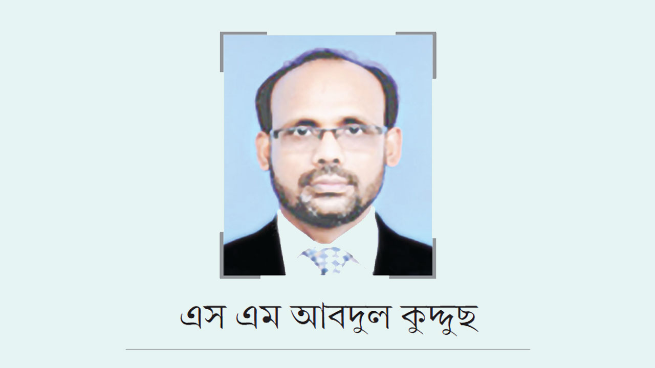 বিশ্ববিদ্যালয় ও মেধার মাশরুম-ফলন