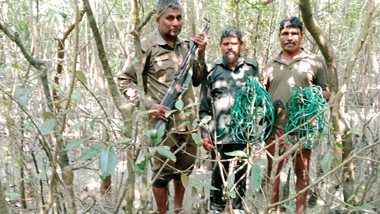 সুন্দরবনে পৃথক অভিযানে হরিণ শিকারের ৪২ ফাঁদ উদ্ধার