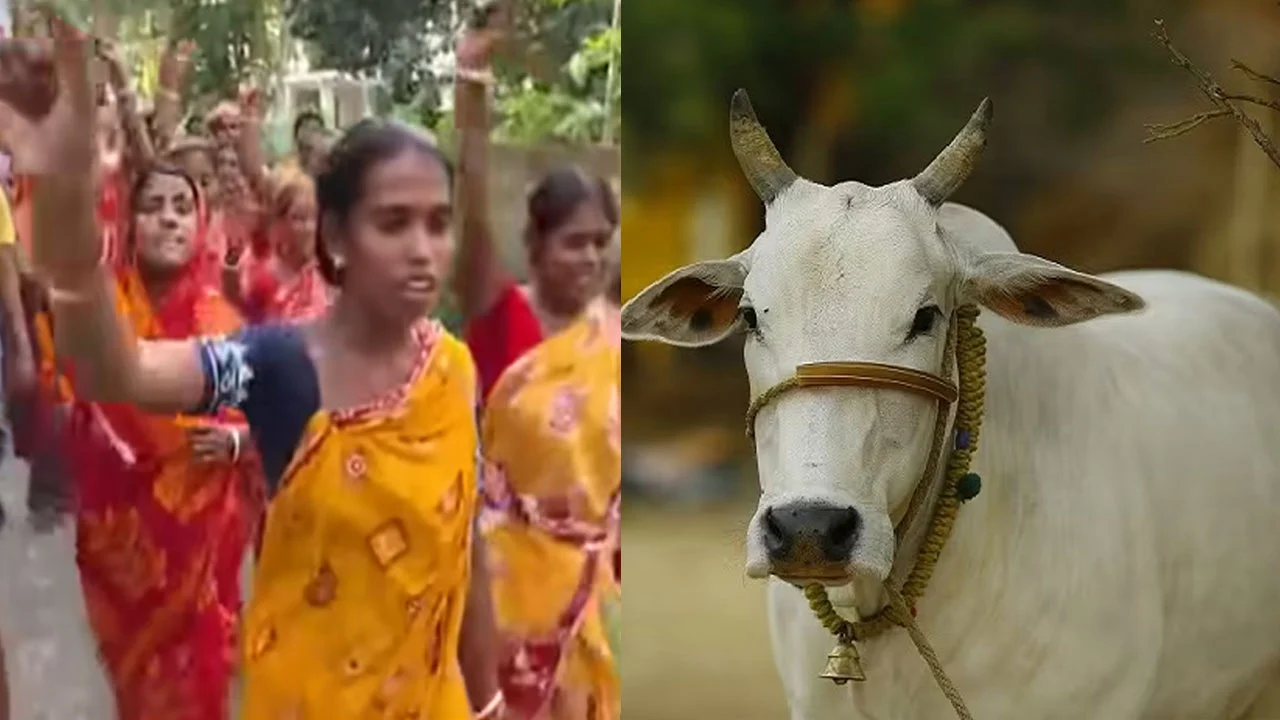 গরু কোরবানির দাবিতে পশ্চিমবঙ্গে হিন্দুদের বিক্ষোভ, বিরোধিতায় আলেমরা