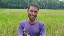 বিরোধের জেরে দেড় বিঘা জমির ধান পুড়িয়ে দেওয়ার অভিযোগ