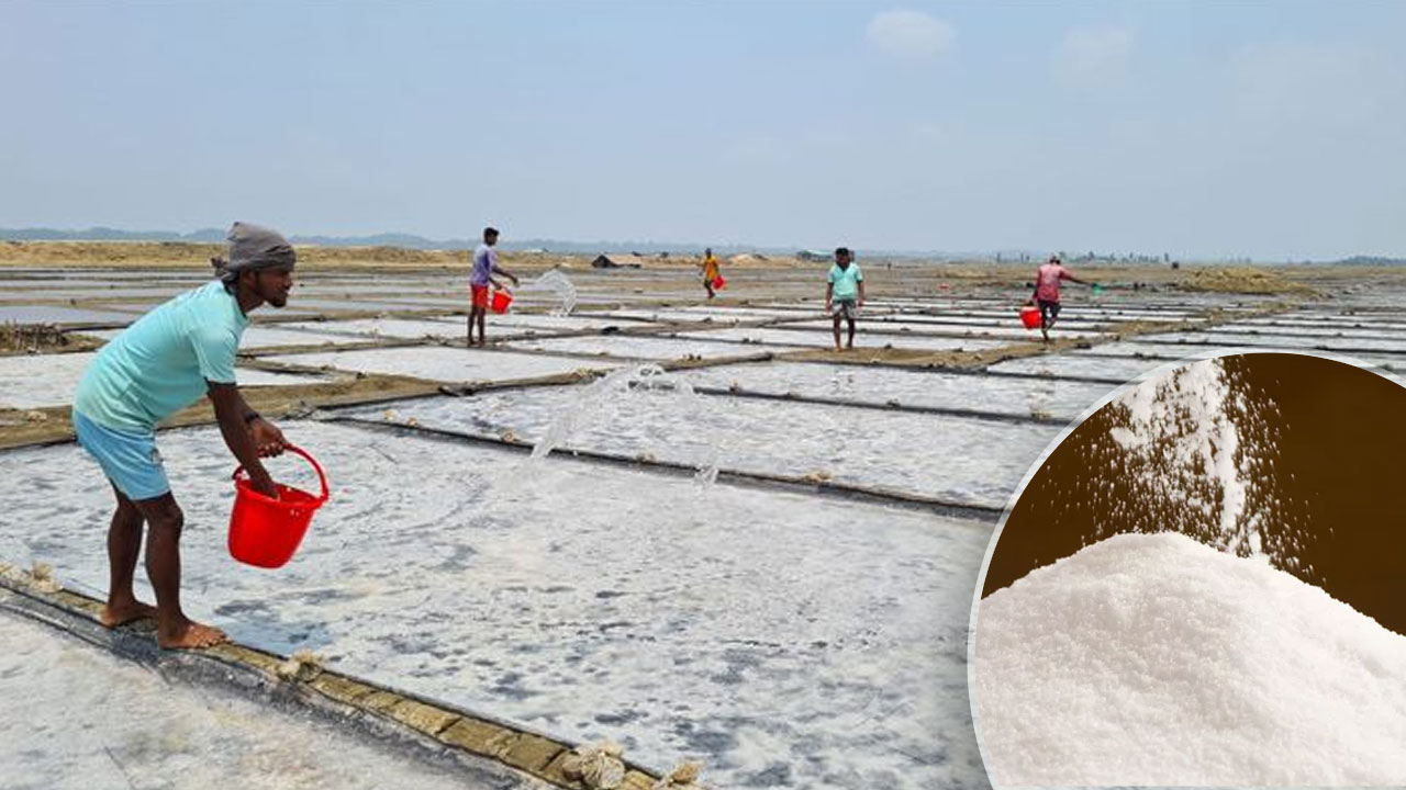 কৃষক পায় চার টাকা, বাজারে দাম ৪০