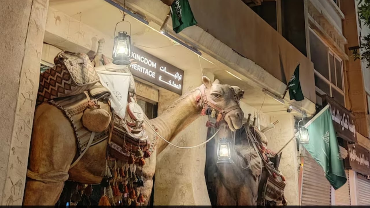 উটের জন্য পাসপোর্ট চালু করছে সৌদি আরব